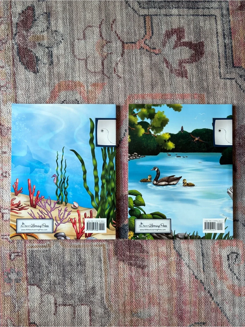 NEW All About Reading & Spelling All Levels Something Fishy + Birds of a Feather